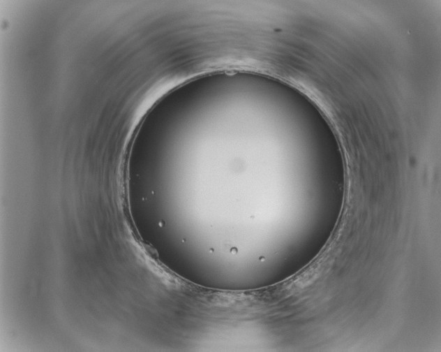 X0000086881056200704231058