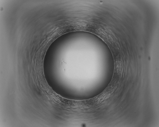 X0000086881057200704231057