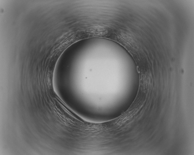 X0000086881058200704231057