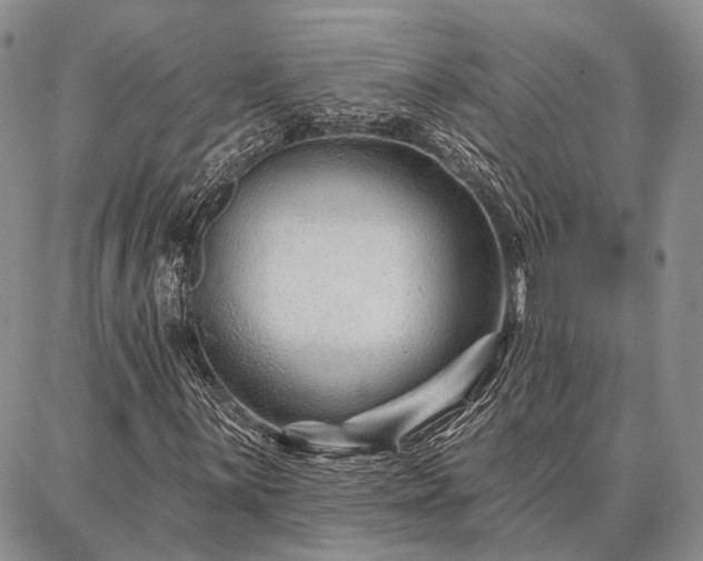 X0000086881059200704231057