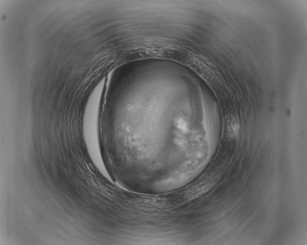 X0000086881060200704231057