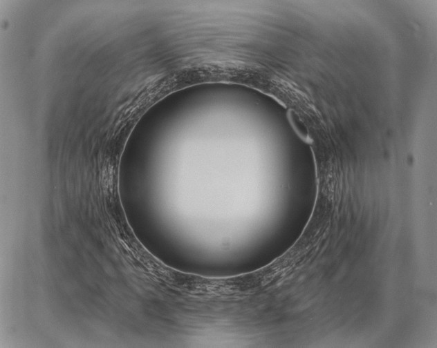 X0000086881061200704231057