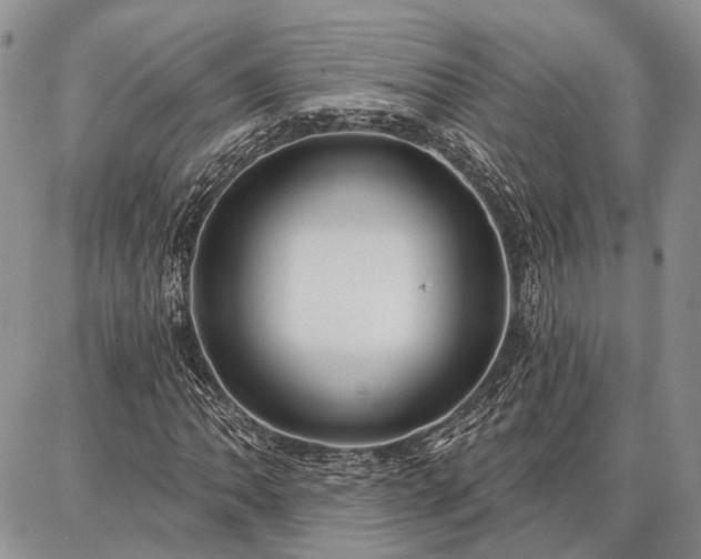 X0000086881062200704231057