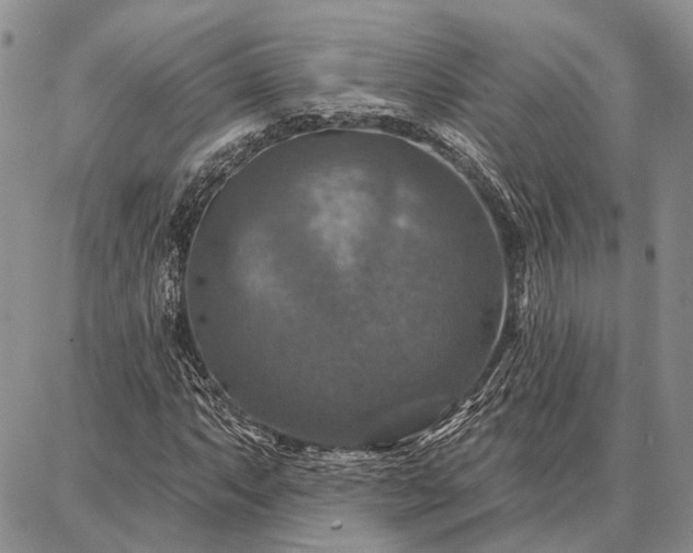 X0000086881063200704231057