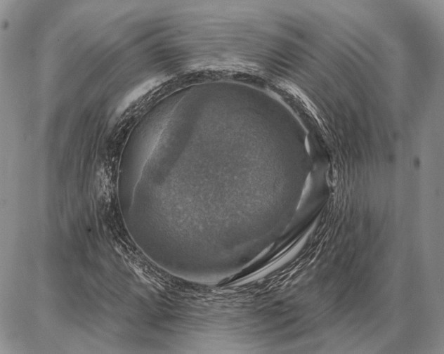 X0000086881064200704231057