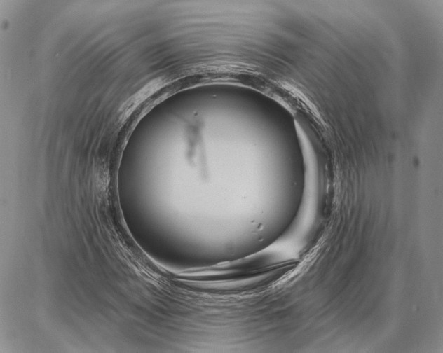 X0000086881065200704231057