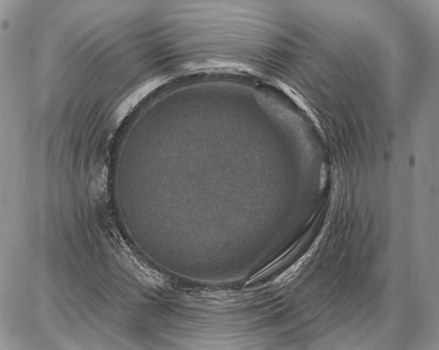 X0000086881066200704231057