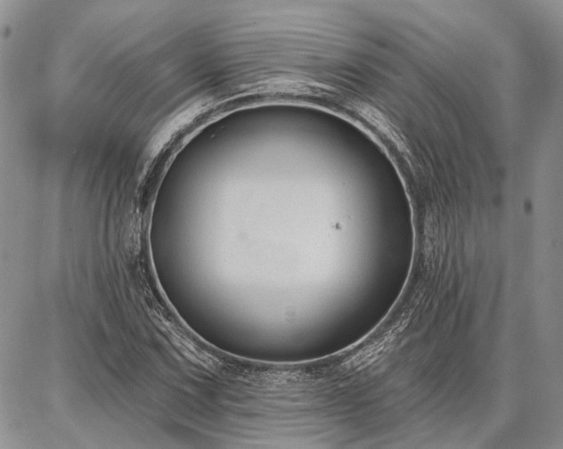 X0000086881067200704231057