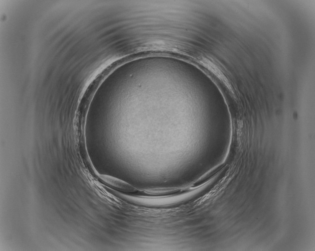 X0000086881068200704231057