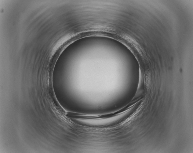 X0000086881069200704231057