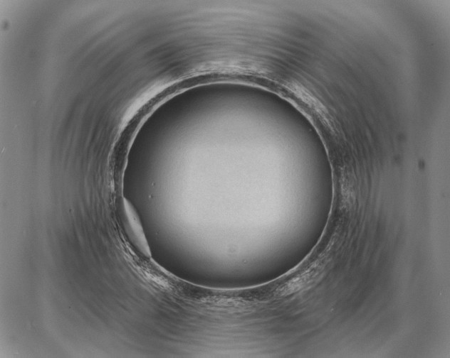 X0000086881070200704231057