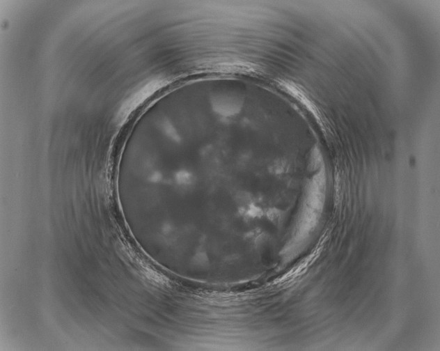 X0000086881071200704231057