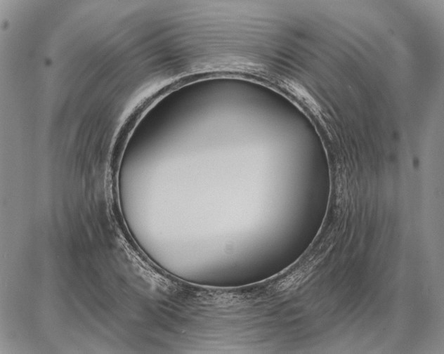 X0000086881072200704231057