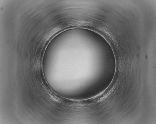 X0000086881073200704231057