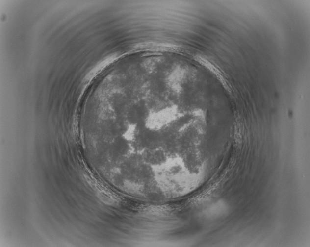 X0000086881074200704231057