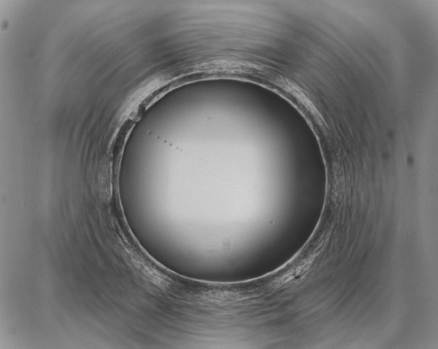 X0000086881075200704231057