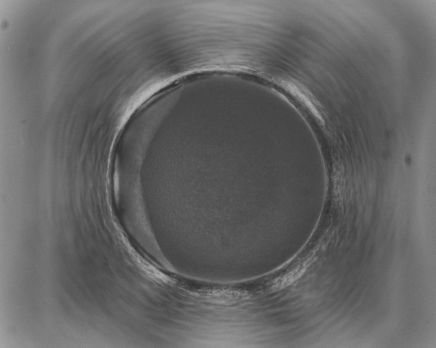 X0000086881077200704231057