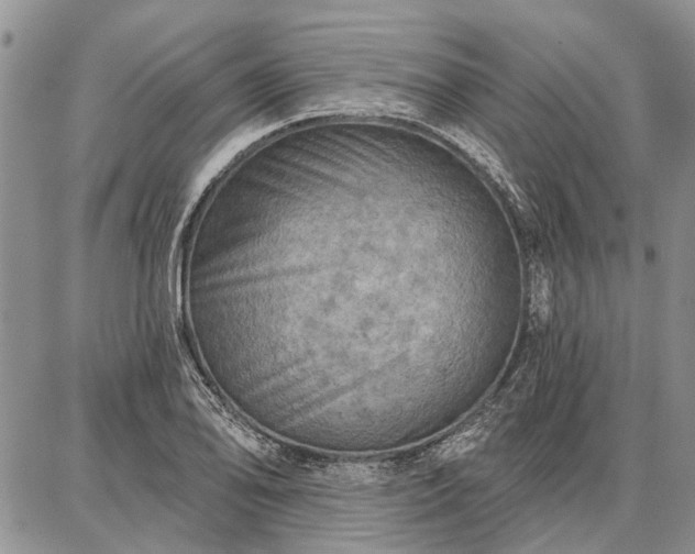 X0000086881078200704231057