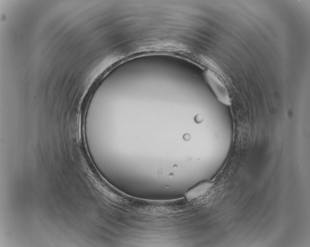 X0000086881079200704231057