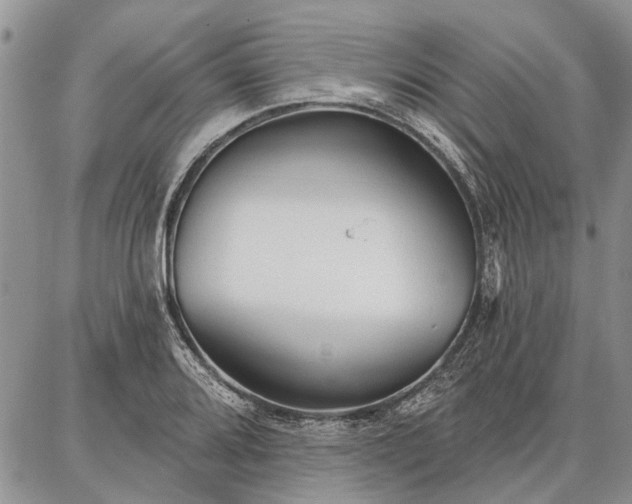 X0000086881080200704231057