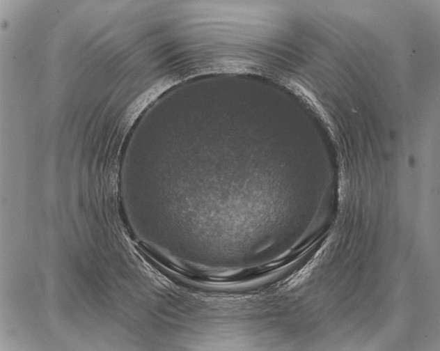 X0000086881081200704231057