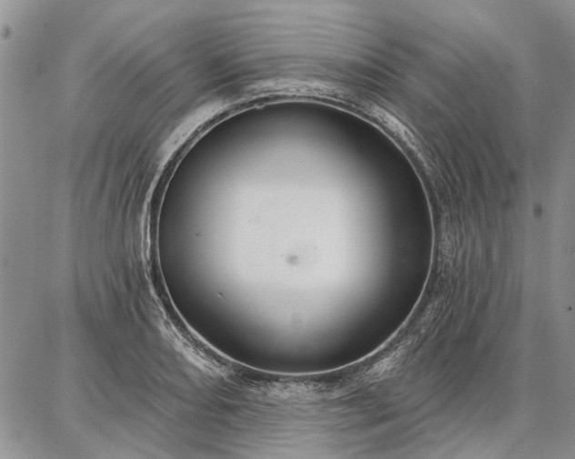 X0000086881082200704231057