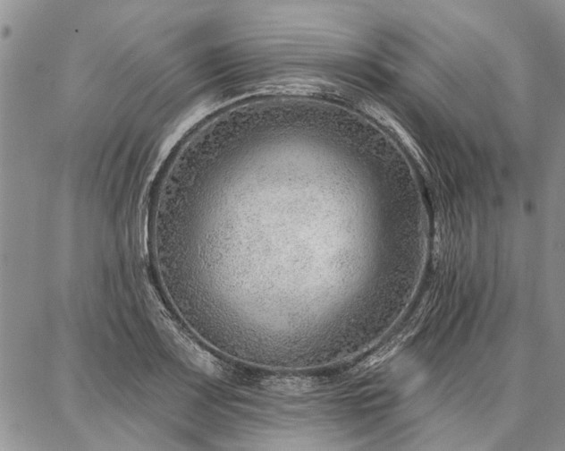 X0000086881083200704231057