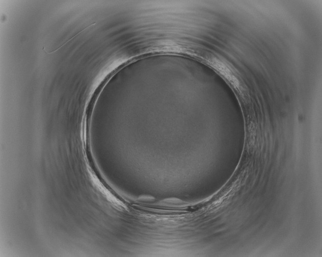 X0000086881084200704231057