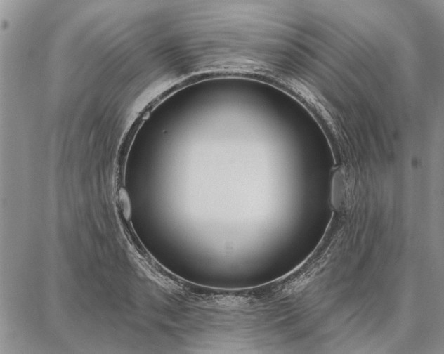 X0000086881085200704231057