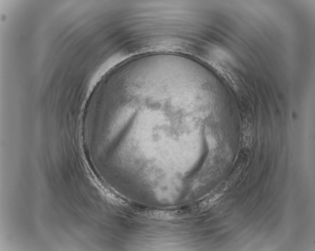 X0000086881086200704231057