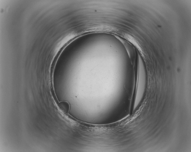 X0000086881087200704231057