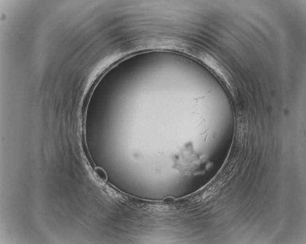 X0000086881088200704231057