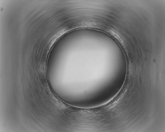 X0000086881089200704231057