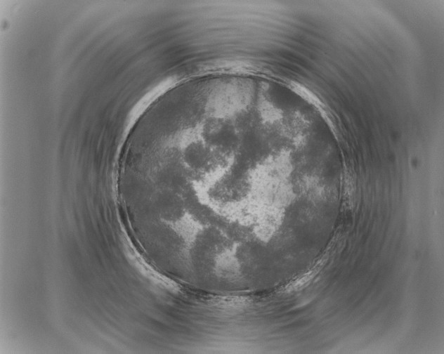 X0000086881090200704231057