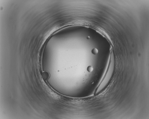 X0000086881091200704231057