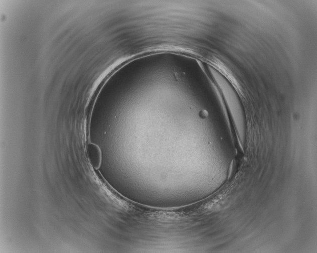 X0000086881092200704231057