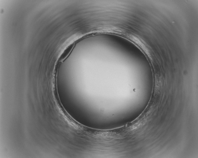 X0000086881093200704231057