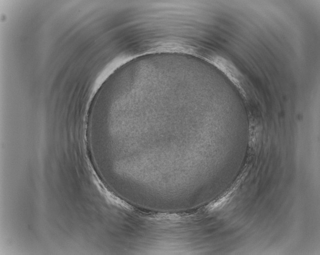 X0000086881094200704231057