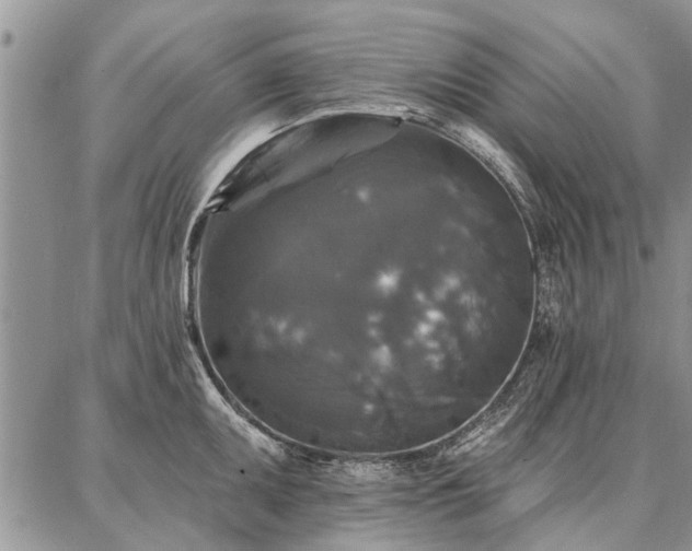 X0000086881095200704231057