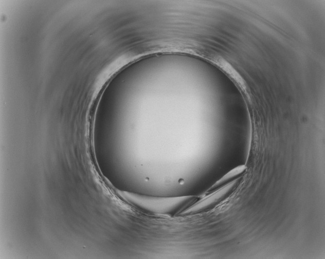 X0000086881096200704231057