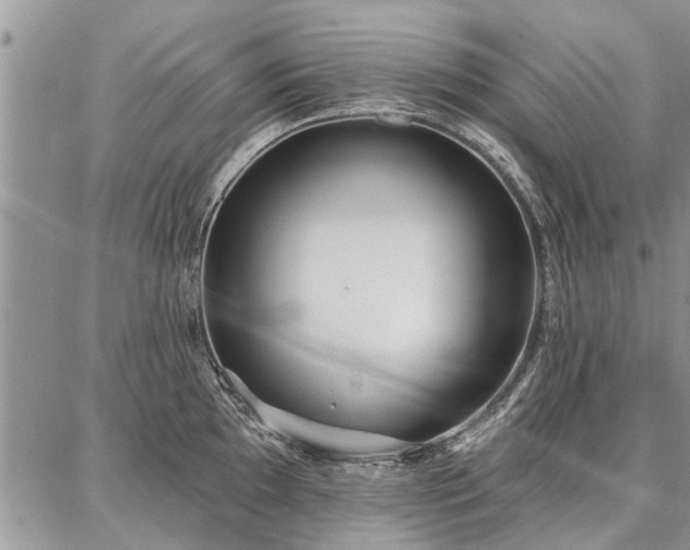 X0000086881097200704231057