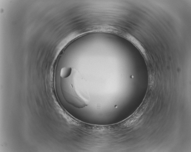 X0000086881099200704231057