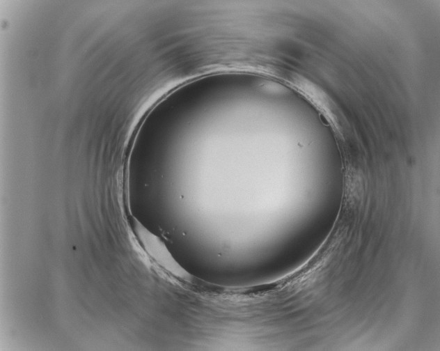 X0000086881100200704231057