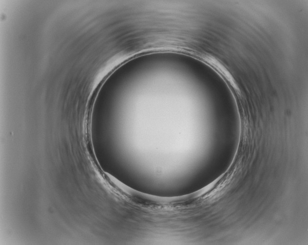 X0000086881101200704231056