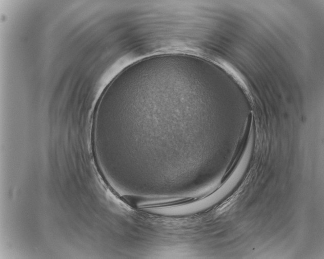 X0000086881102200704231056