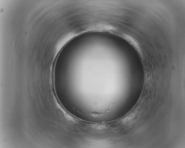 X0000086881103200704231056