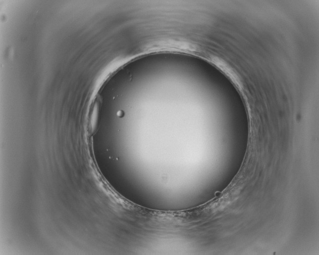 X0000086881104200704231056