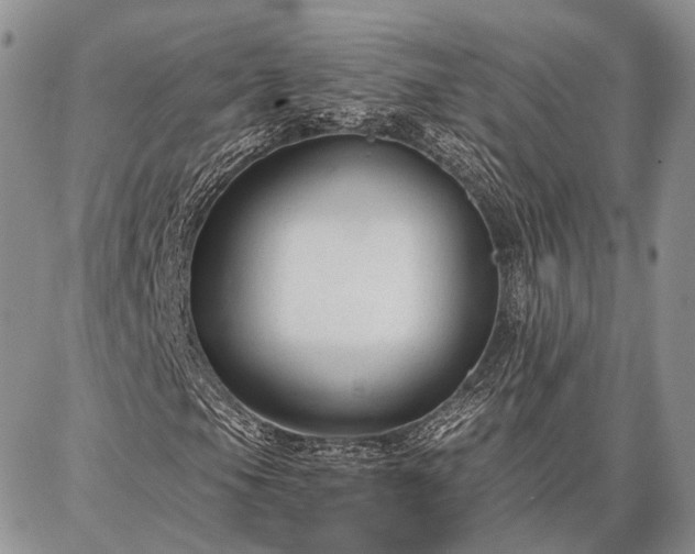 X0000086881105200704231056