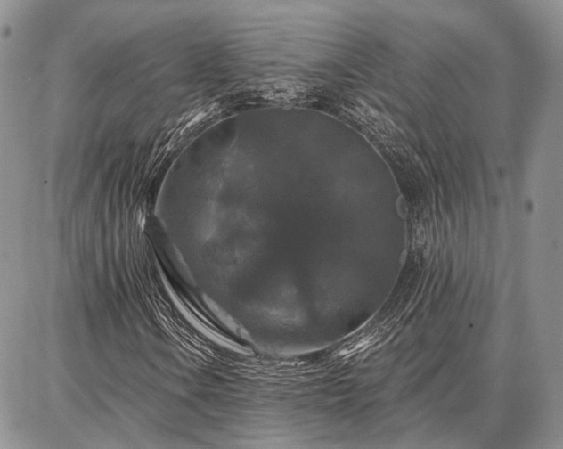 X0000086881106200704231056