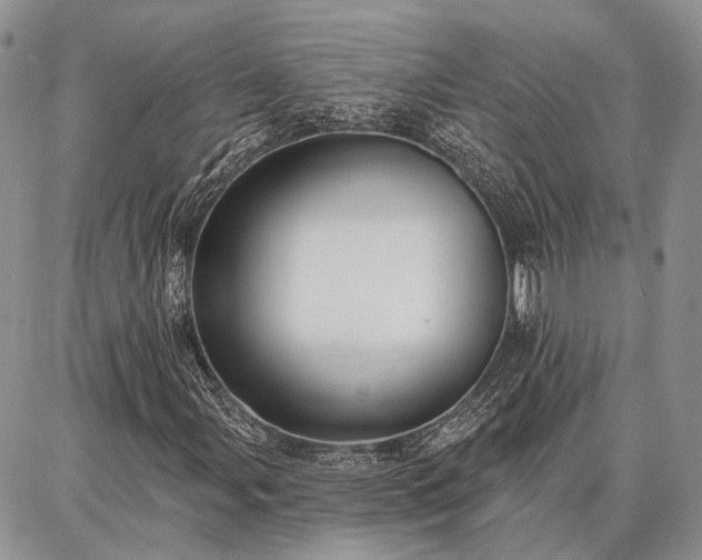 X0000086881107200704231056